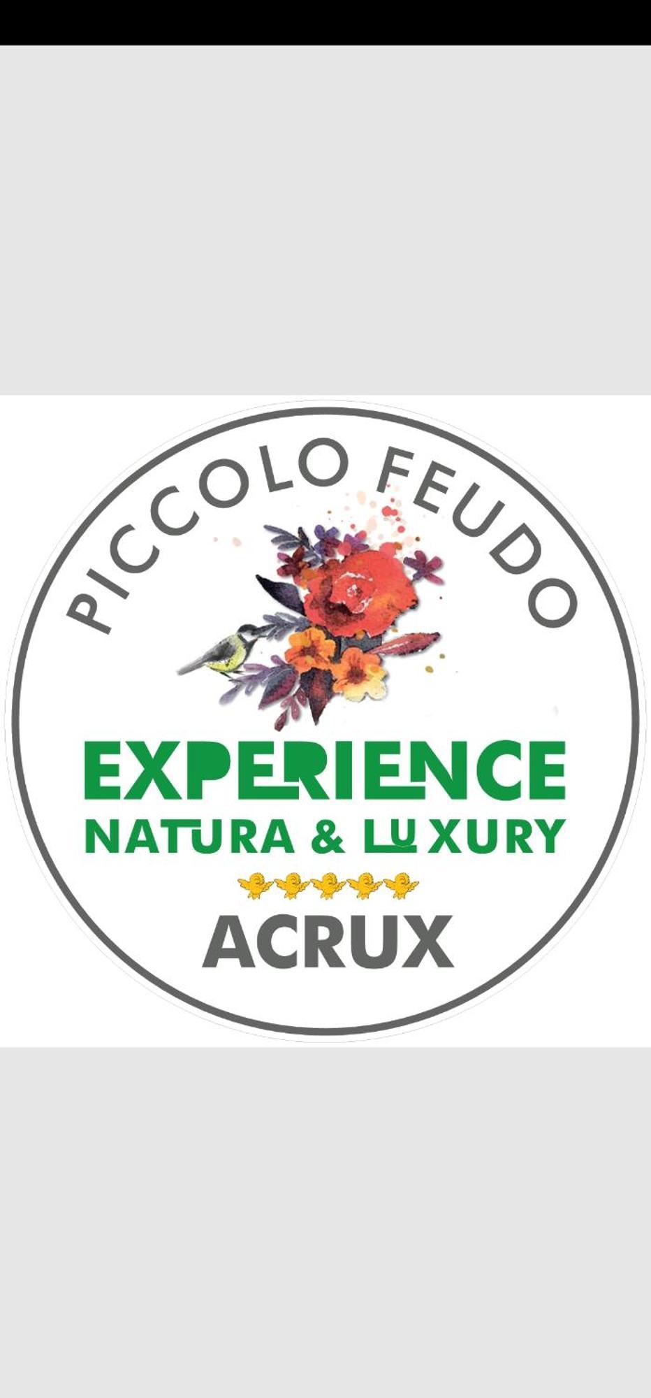 Piccolo Feudo Green Resort Viterbo Habitación foto